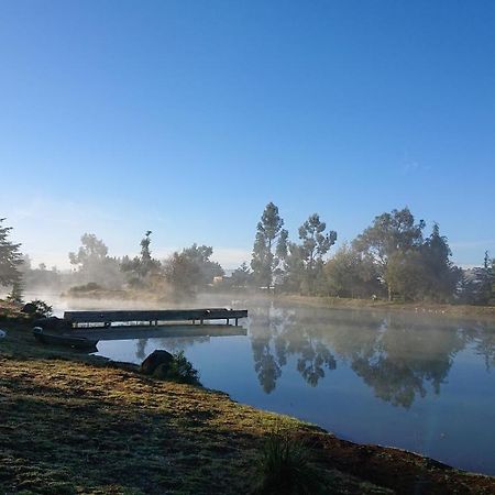 Cabanas Tapalpa Sierra Del Tecuan, Cabana Lince Exteriör bild