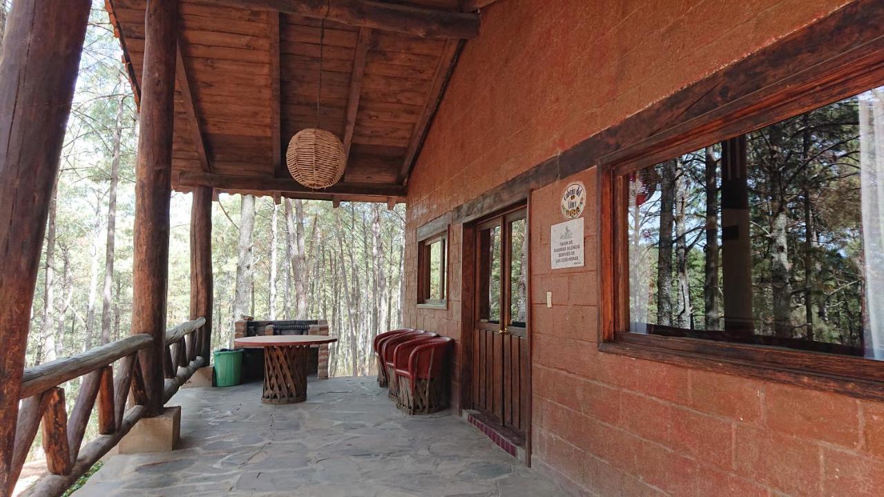 Cabanas Tapalpa Sierra Del Tecuan, Cabana Lince Exteriör bild