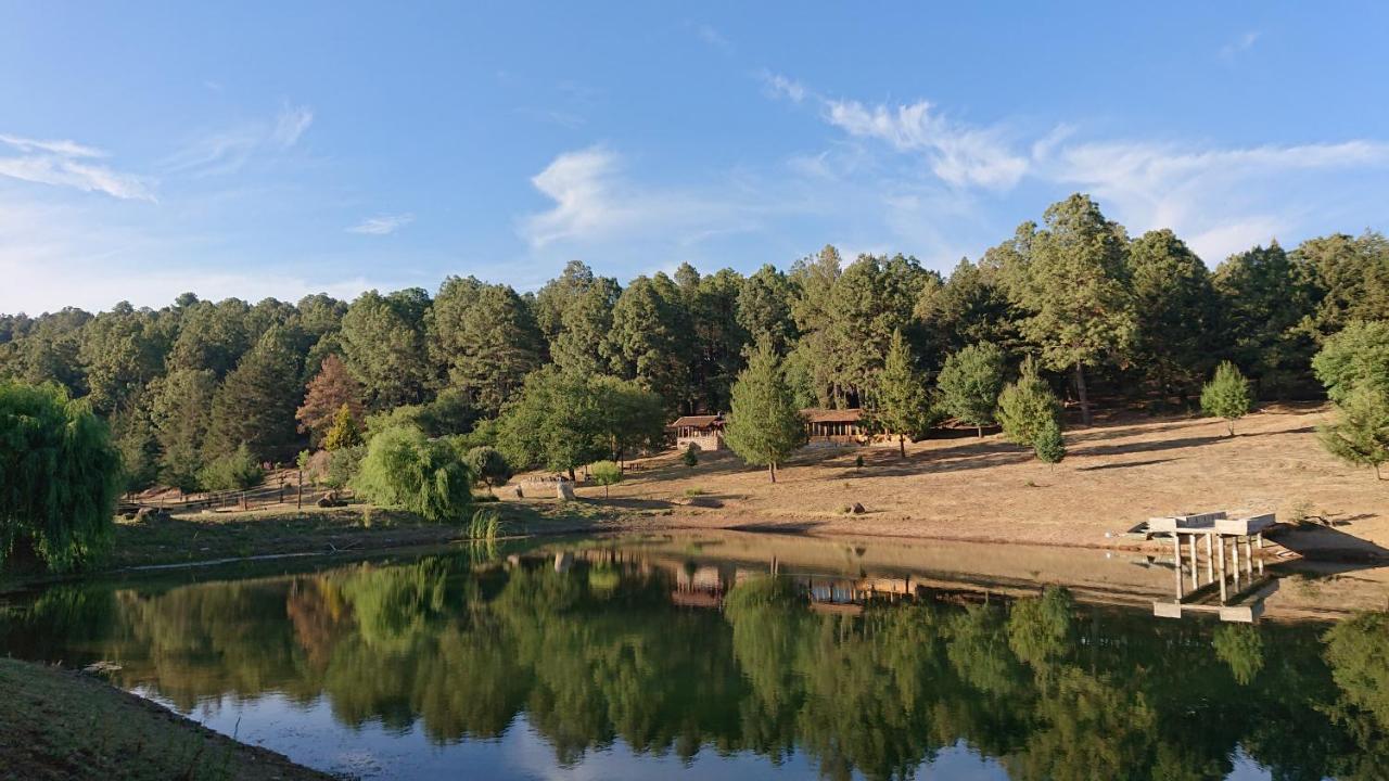 Cabanas Tapalpa Sierra Del Tecuan, Cabana Lince Exteriör bild