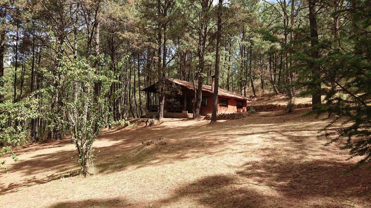 Cabanas Tapalpa Sierra Del Tecuan, Cabana Lince Exteriör bild