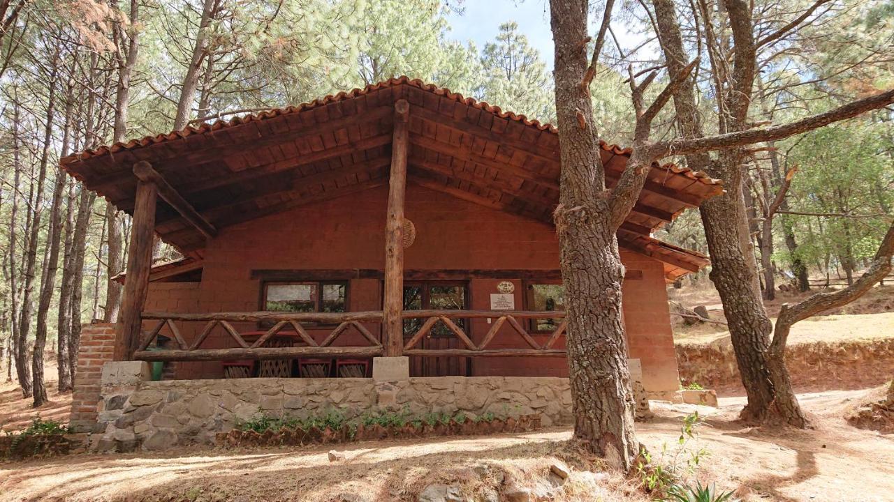 Cabanas Tapalpa Sierra Del Tecuan, Cabana Lince Exteriör bild