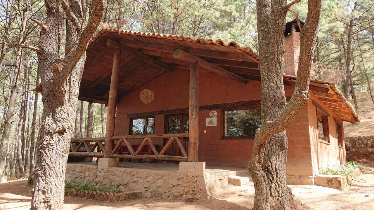 Cabanas Tapalpa Sierra Del Tecuan, Cabana Lince Exteriör bild